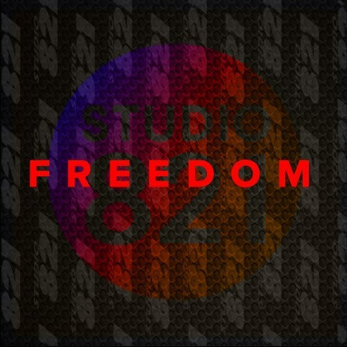 FREEDOM Vinyl Decal Sticker - Charlie Kirk Transfer Cut Stickers-Patriotism USA