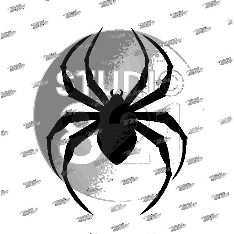 BLACK WIDOW SPIDER Decal Car Window Vinyl Decal Sticker laptop