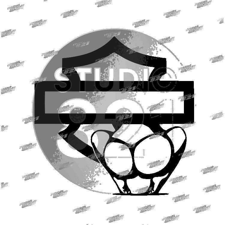 Harley Shield Bar Vinyl Sticker Decal - Davidson Car Truck Booty Butt Shield