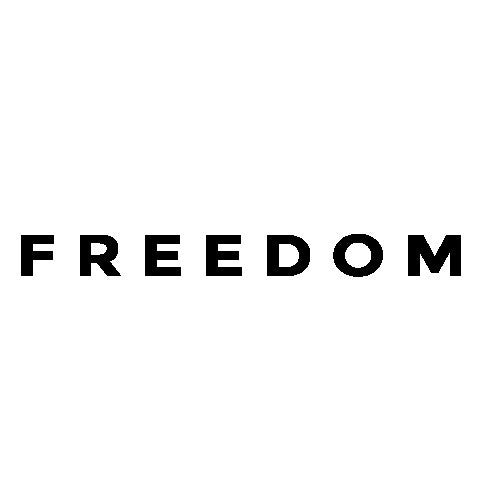 FREEDOM Vinyl Decal Sticker - Charlie Kirk Transfer Cut Stickers-Patriotism USA